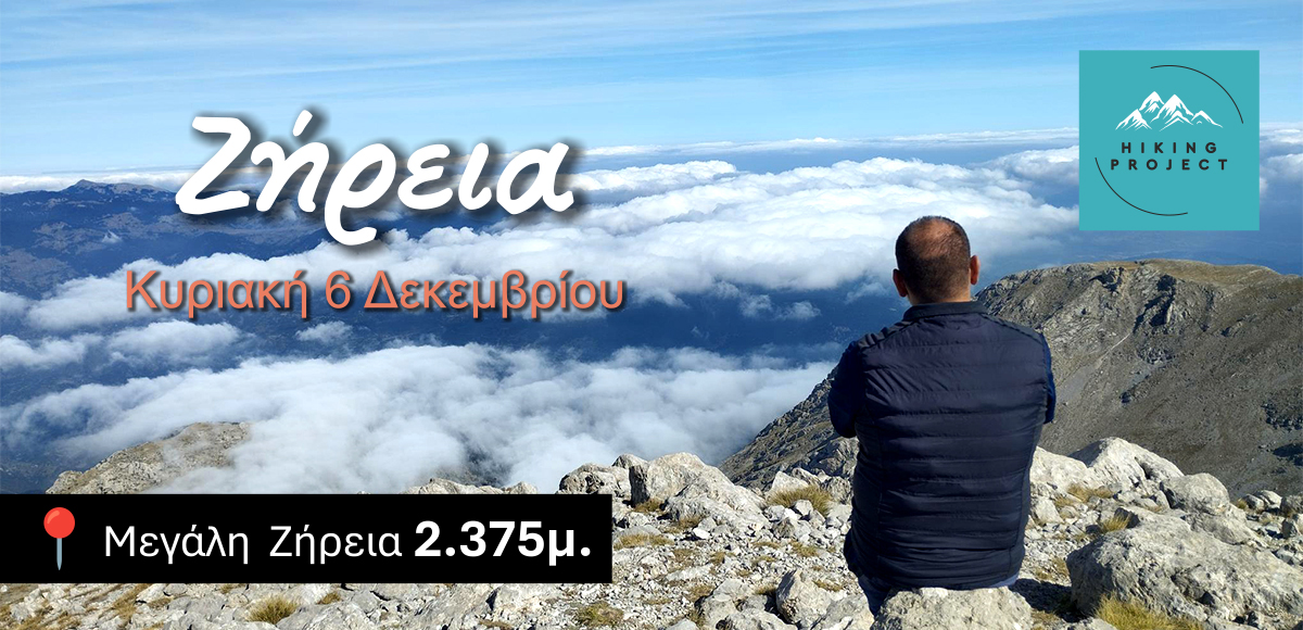zireia 1200×580